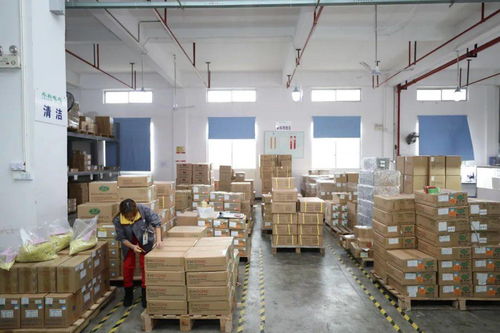 家門口的機遇 賓陽電子廠招工，提供食宿，探索互聯網銷售新方向